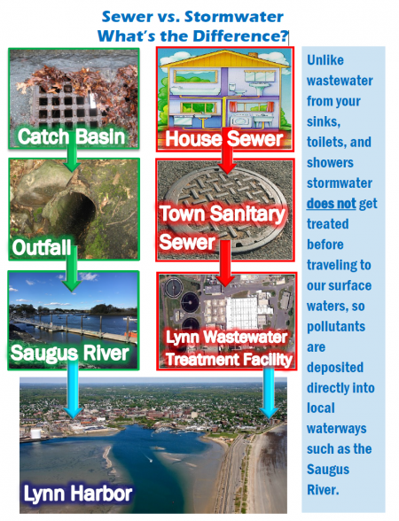 Sewer Vs. Stormwater