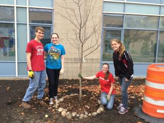 Tree Farm volunteers planting a tree at the Veteran's Memorial Elementary School